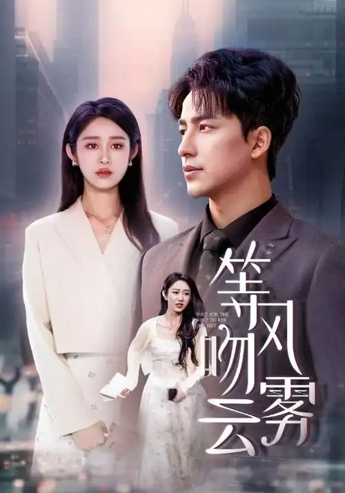 热播电视剧《雾港双生》全集高清